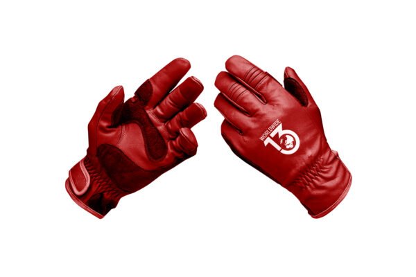 Gloves - 03